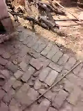 Snapshot of xmanrawan2 chatting on 02-17-26, 07:16 xmanrawan2 online show from 02-17-26, 07:16