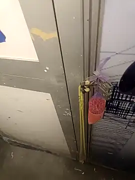 wadmma online show from 02-05-25, 07:10