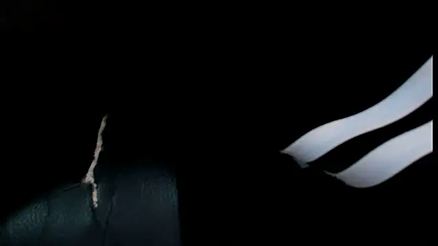 roan birkin online show from 06-11-26, 12:32