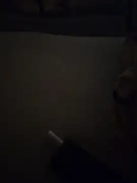 colin1277 online show from 06-24-26, 04:33