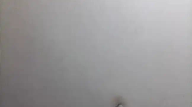 beatle666 online show from 02-26-25, 02:15