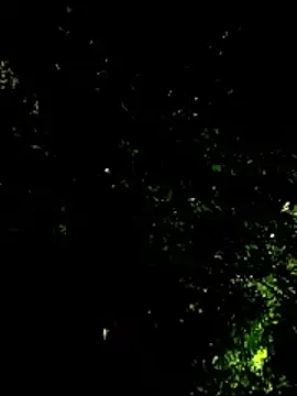 beatle666 online show from 01-19-26, 04:16