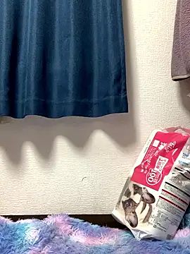 PINO pino 01 online show from 11-24-25, 05:45