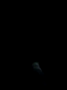 dominationmybigdick online show from 03-27-26, 11:15