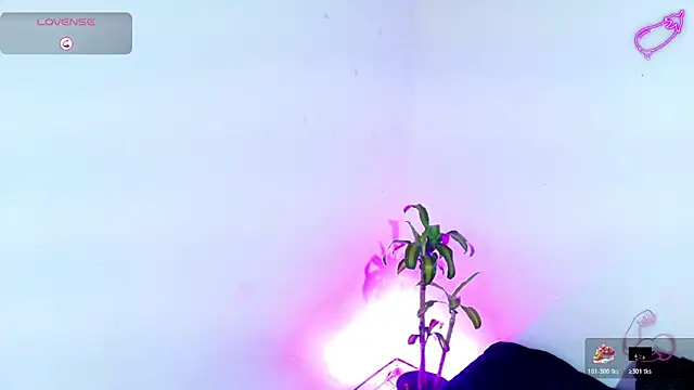 7 Saturno 7 online show from 03-20-26, 03:39