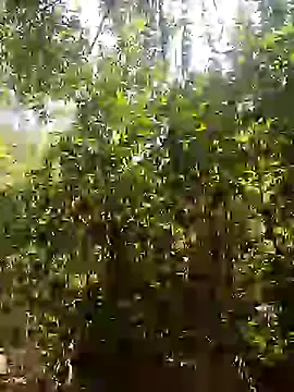 Pussy-Hairy-Horny online show from 02-16-25, 06:54