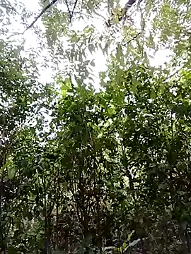 Pussy-Hairy-Horny online show from 02-23-25, 09:59