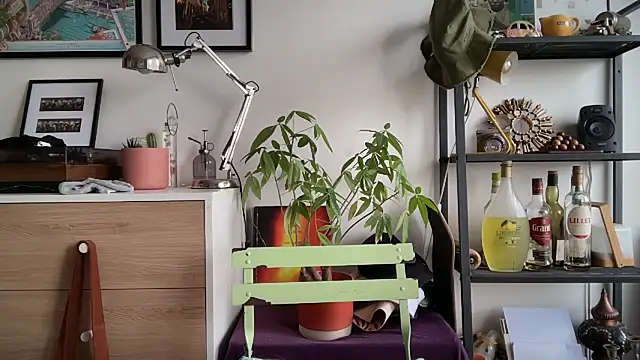 Snapshot of MikymikeBBWD chatting on 11-12-25, 11:43 MikymikeBBWD online show from 11-12-25, 11:43