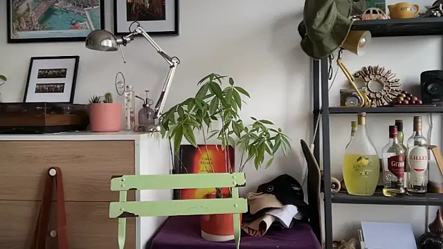 Snapshot of MikymikeBBWD chatting on 11-22-25, 01:54 MikymikeBBWD online show from 11-22-25, 01:54