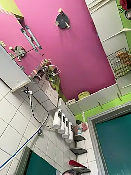 sexymelli18 online show from 04-23-26, 03:58