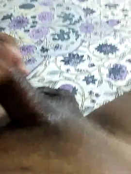 Snapshot of desi_pb02 chatting on 03-01-26, 09:33 desi pb02 online show from 03-01-26, 09:33