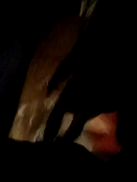 bimexpoexist online show from 01-12-26, 08:52