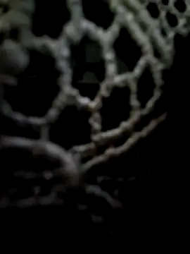 mauroxx08 online show from 05-11-26, 02:34