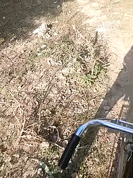 Snapshot of bairobunde chatting on 02-07-26, 04:16 bairobunde online show from 02-07-26, 04:16