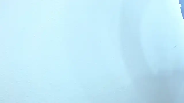 sebastian colle online show from 02-26-25, 12:03