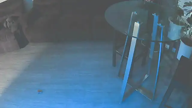 Snapshot of Fuckmehardandcloudy chatting on 01-18-26, 11:41 Fuckmehardandcloudy online show from 01-18-26, 11:41