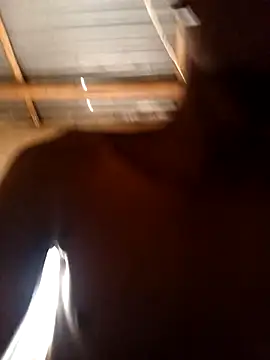 lilpip online show from 02-15-26, 09:08