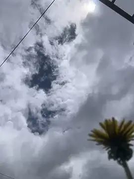 Snapshot of MaxxxSteil chatting on 11-12-25, 03:56 MaxxxSteil online show from 11-12-25, 03:56