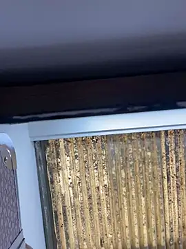 Madisson-Rivas online show from 11-13-25, 06:07