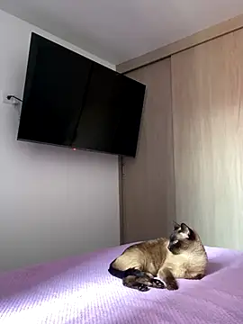 Snapshot of AshleyG_222 chatting on 12-17-25, 04:46 AshleyG 222 online show from 12-17-25, 04:46