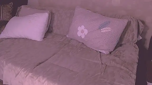 Snapshot of SoftLia chatting on 05-24-26, 10:26 SoftLia online show from 05-24-26, 10:26