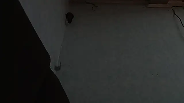 Snapshot of PrimordialChill6 chatting on 04-06-26, 03:59 PrimordialChill6 online show from 04-06-26, 03:59