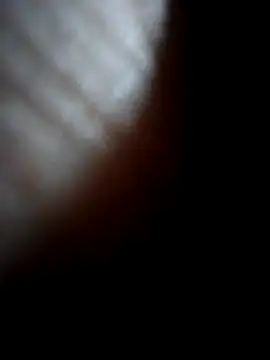 Sandra42 online show from 12-21-25, 09:44