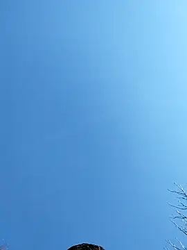 Snapshot of Anthopassif84 chatting on 03-17-25, 03:18 Anthopassif84 online show from 03-17-25, 03:18