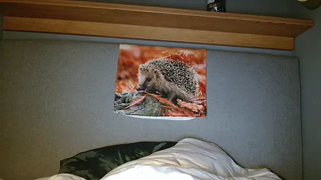 Saysay-7 online show from 10-05-25, 05:33