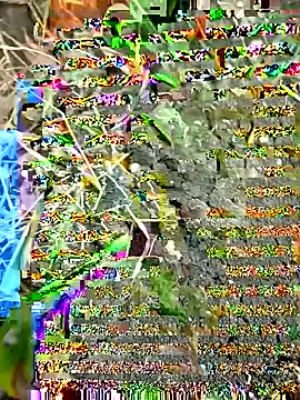 himvilohi08 online show from 09-27-25, 12:32