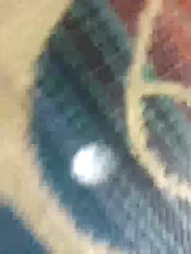 Sexy-nandani-baby online show from 10-12-25, 05:28