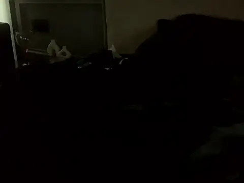 Snapshot of SavagesGN chatting on 02-14-26, 11:51 SavagesGN online show from 02-14-26, 11:51