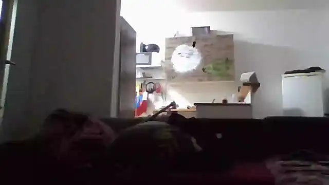 ThePython666 online show from 11-17-25, 05:08