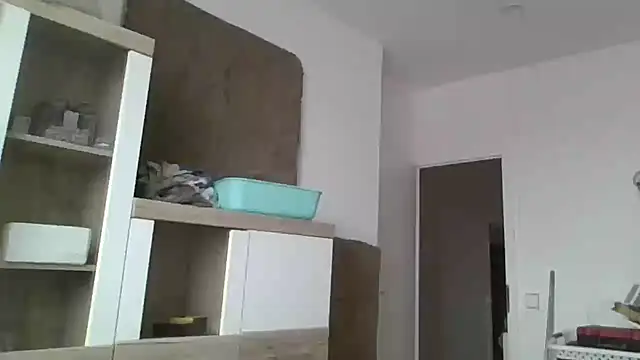 ThePython666 online show from 11-24-25, 09:20