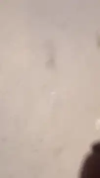 Snapshot of Nick-Ox chatting on 03-13-26, 06:47 Nick-Ox online show from 03-13-26, 06:47