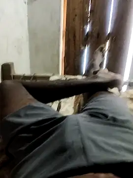 PolarFriend0 online show from 02-20-26, 07:54