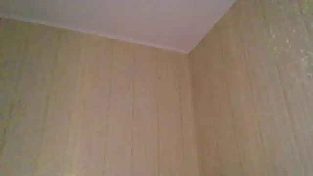 Snapshot of _Black-Panther_ chatting on 11-12-25, 02:06 Black-Panther online show from 11-12-25, 02:06