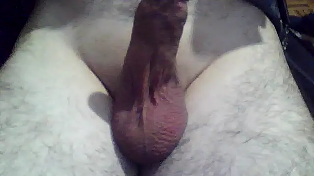 Snapshot of soyorkarxx chatting on 12-18-25, 11:44 soyorkarxx online show from 12-18-25, 11:44