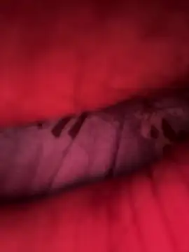 Barbonguapo69 online show from 03-14-25, 12:32