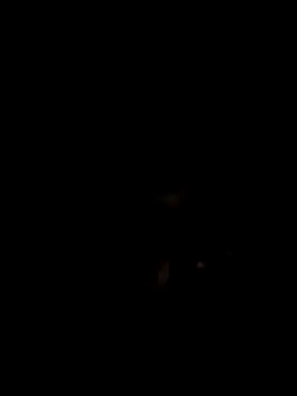 John96999 online show from 03-16-25, 12:12