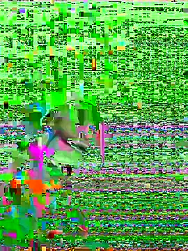 Snapshot of HenriquePhn chatting on 02-06-26, 03:00 HenriquePhn online show from 02-06-26, 03:00