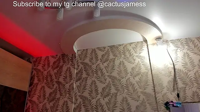 Snapshot of Cactus__James chatting on 12-21-25, 02:57 Cactus James online show from 12-21-25, 02:57