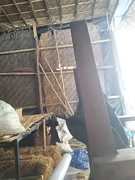 Snapshot of hot_integer chatting on 02-21-26, 02:56 hot integer online show from 02-21-26, 02:56