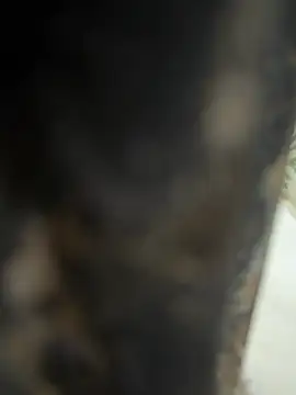 dilu98 online show from 02-21-26, 02:01