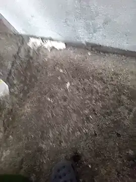 Snapshot of Angel_dos019 chatting on 03-08-26, 01:37 Angel dos019 online show from 03-08-26, 01:37