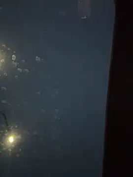 Snapshot of Eriksson00 chatting on 12-19-25, 07:48 Eriksson00 online show from 12-19-25, 07:48