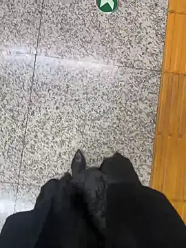 xiaoyuan01 online show from 10-31-25, 02:45