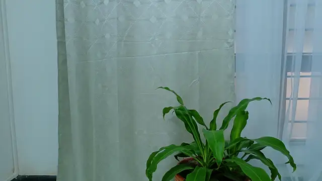 Snapshot of EbonyHorrny chatting on 09-15-25, 12:16 EbonyHorrny online show from 09-15-25, 12:16