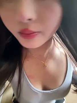 Snapshot of chenyu0308 chatting on 10-05-25, 04:11 chenyu0308 online show from 10-05-25, 04:11