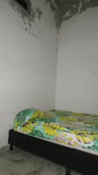 David tatto1 online show from 04-16-26, 03:07